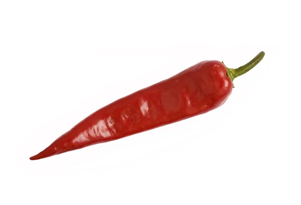 Pepř chilli — Stock fotografie