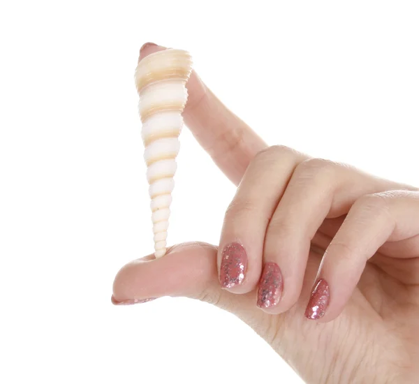 Weibliche Hände, die eine Muschel halten, — Stockfoto