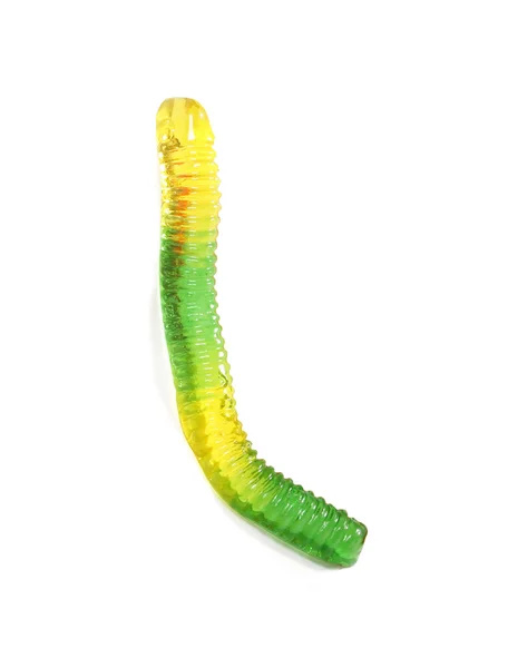 橡皮蠕虫 — 图库照片