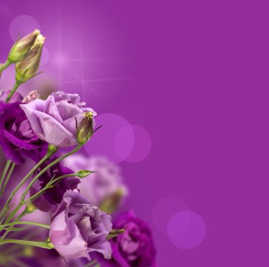 Magic purple flowers clipart