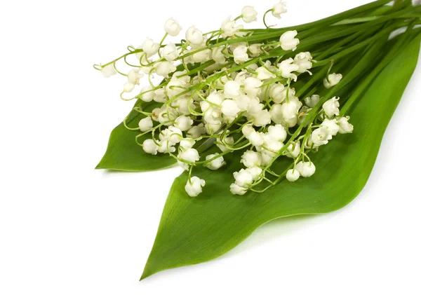 stock image Bouquet of lilies