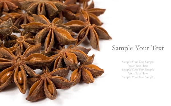 Star anise with copy space — Stock Photo, Image