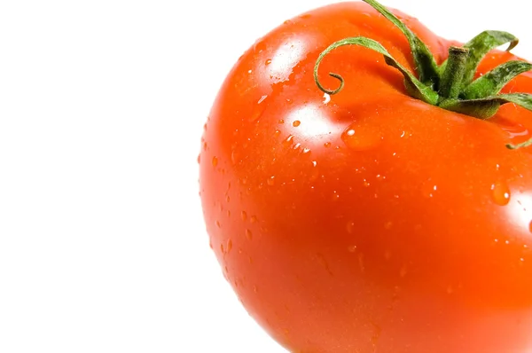 Gros plan sur la tomate — Photo