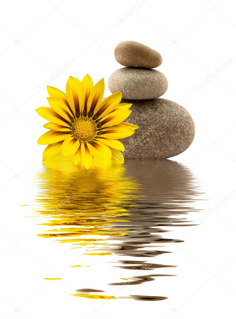 Spa stones with yellow flower