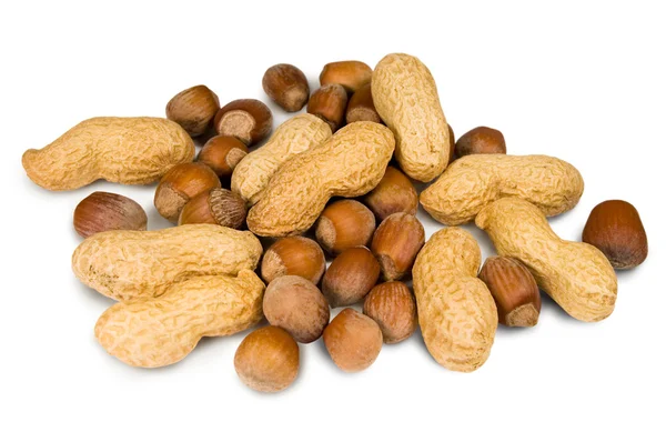 Filbertnötter och jordnötter — Stockfoto