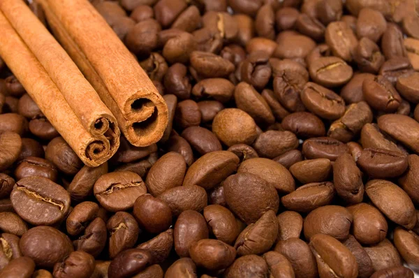 Koffiebonen en canella stokken — Stockfoto