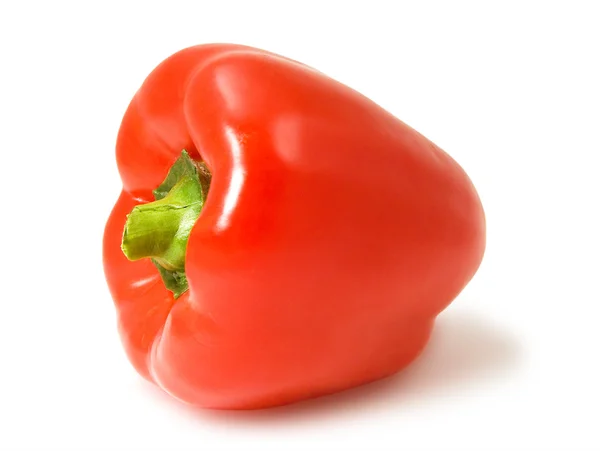 Övriga-paprika i röd — Stockfoto