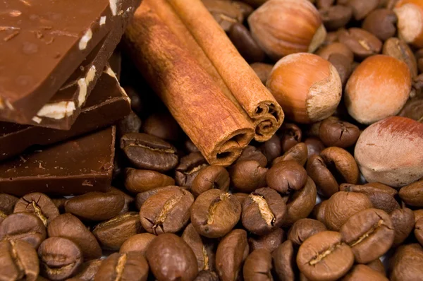 Chocolate, coffee beans , cinnamon sticks and hazel — Stock Photo, Image