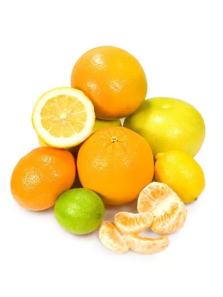 Diverse citrusfrukter — Stockfoto