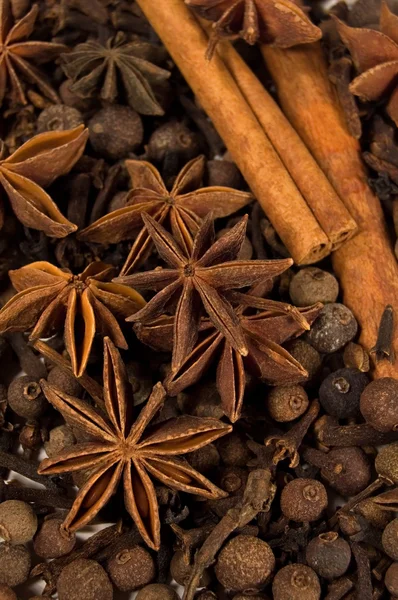 stock image Background of spices