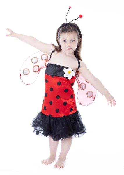 Adorable little girl in ladybug costume — Stock Photo, Image