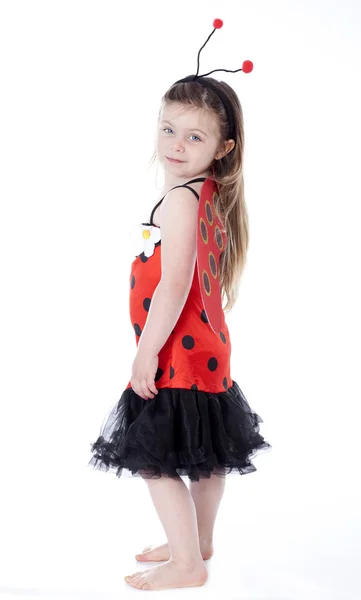 stock image Young girl in ladybug costume on white