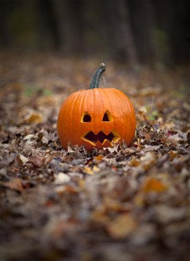 Spooky pumpkin on a path in leaves clipart