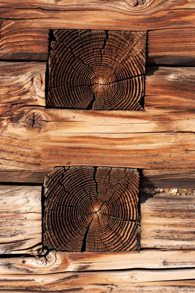 Wood _ Texture — 图库照片