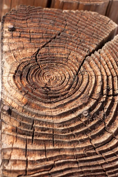 Fából készült napló — Stock Fotó