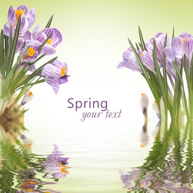 Spring background clipart