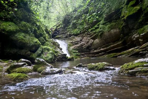 Stock image Crab's canyon