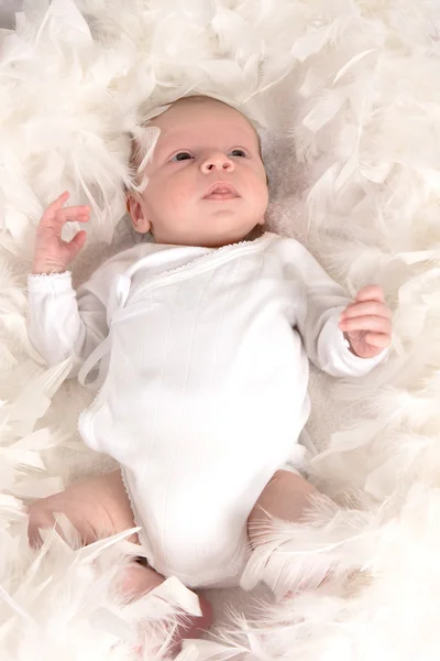 Baby in feathers — Stock Photo, Image