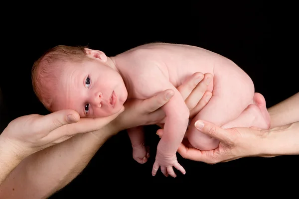 Parents' hands — Stock Photo, Image