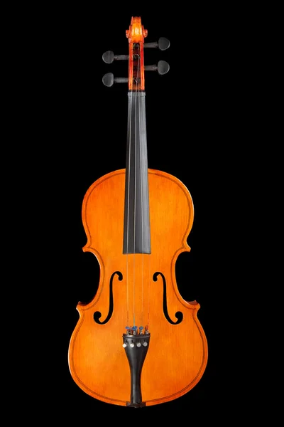 Isolated violin — Stock Photo, Image