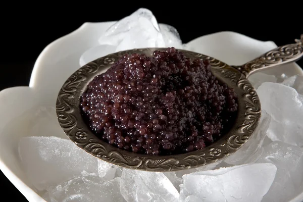 Caviar en gros plan — Photo