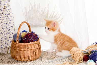 Basket of wool clipart