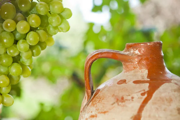 Antieke gistingsfles en druiven — Stockfoto