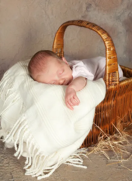 Basket with a baby — Stock Photo, Image