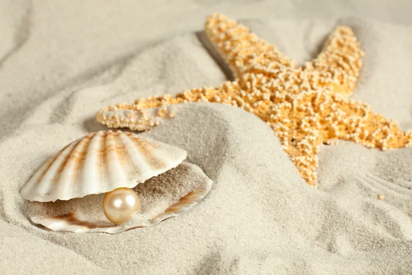Перлина в seashell — стокове фото