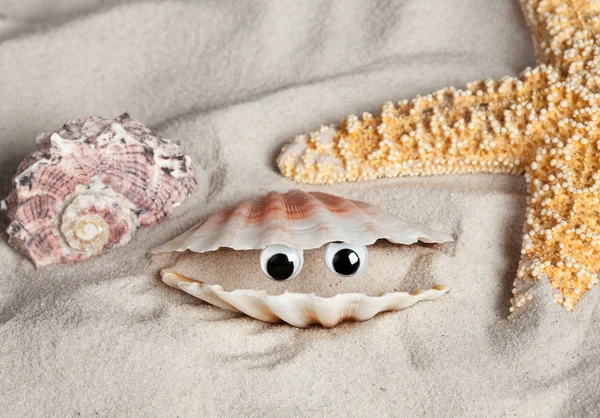 Komik plaj deniz kabuğu — Stok fotoğraf