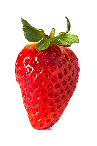 완벽 한 딸기 — 스톡 사진