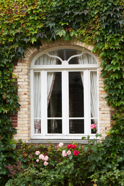 Beautiful cottage window with ivy in Normandy, France