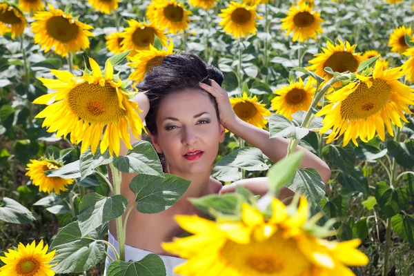 Портрет соняшникового поля крупним планом — стокове фото