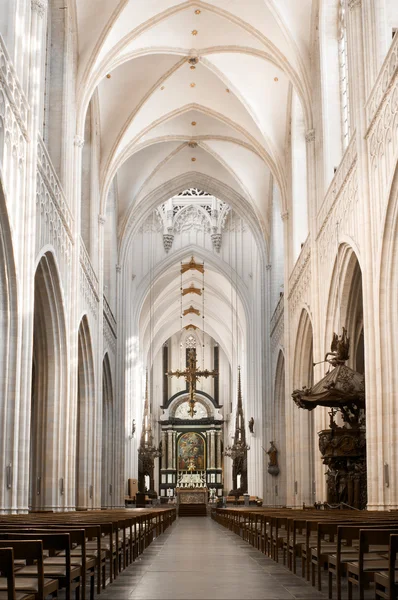 Katedralens långhus — Stockfoto