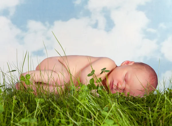 Νεογέννητο μωρό σε χόρτο — Φωτογραφία Αρχείου