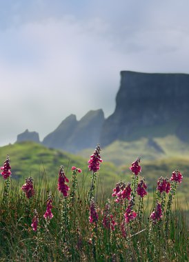 Skye mountains clipart