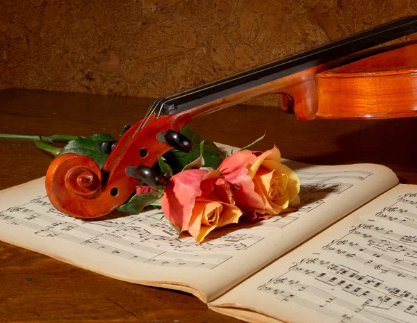 小提琴和玫瑰 — 图库照片