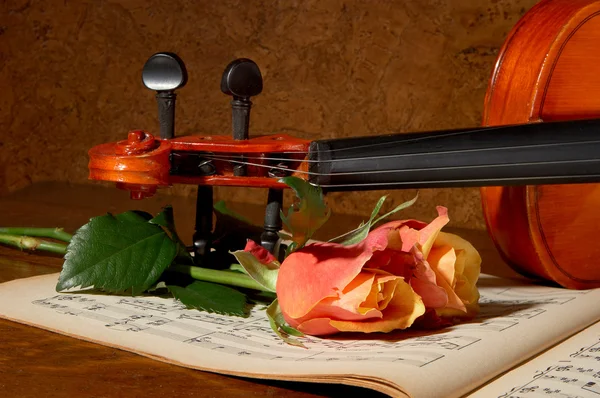 小提琴和玫瑰 — 图库照片