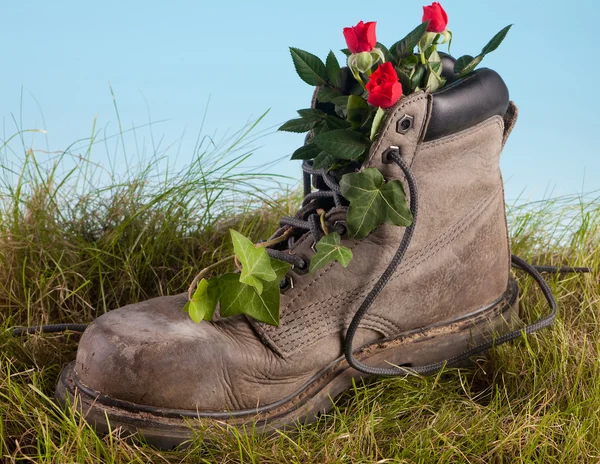 Old boot in grass — Stock Photo, Image