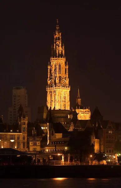 Antwerp cathedral — Stock Photo, Image