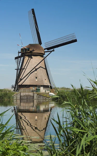 Dutch reflection — Stock Photo, Image