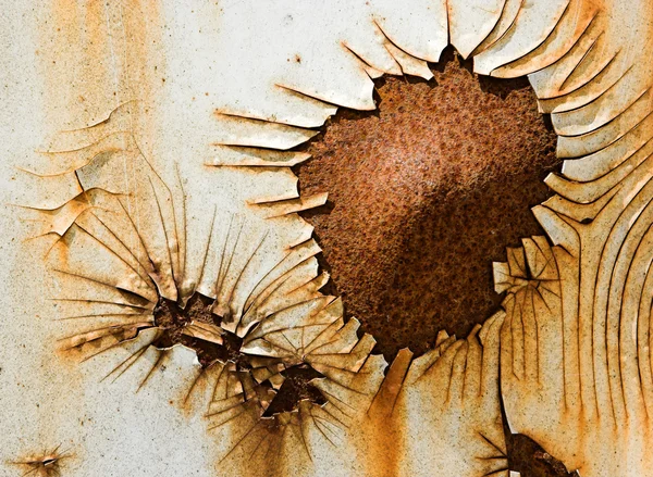 Flor oxidada — Foto de Stock