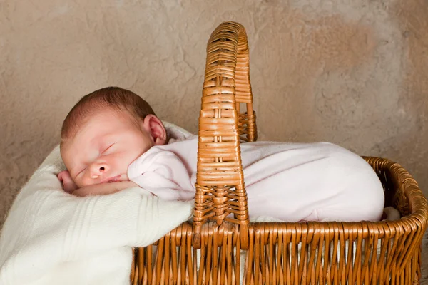 Picnic basket with baby — Stock Photo, Image