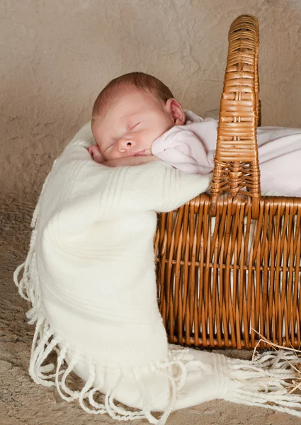 Bebê em cesta de piquenique — Fotografia de Stock