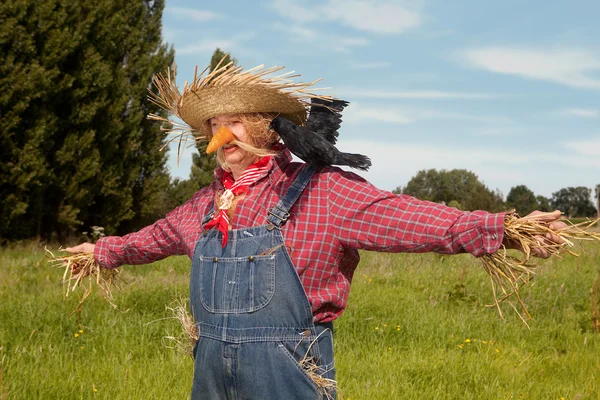 Levende scarecrow — Stockfoto