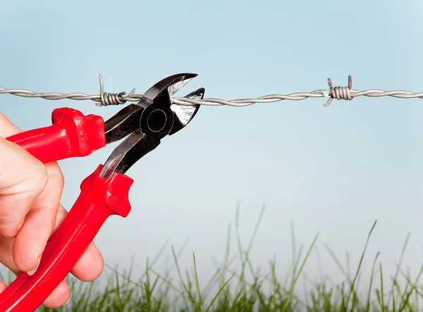 stock image Cutting barbed wire