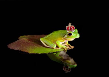 Frog prince on leaf clipart