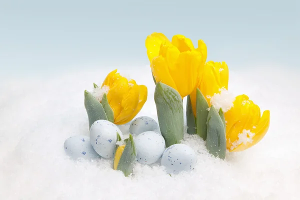 Easter snow — Stock Photo, Image