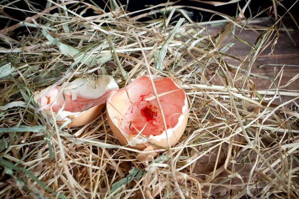 Vaječných skořápek po šrafování — Stock fotografie
