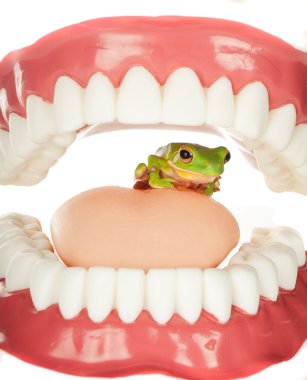 Frog in throat clipart